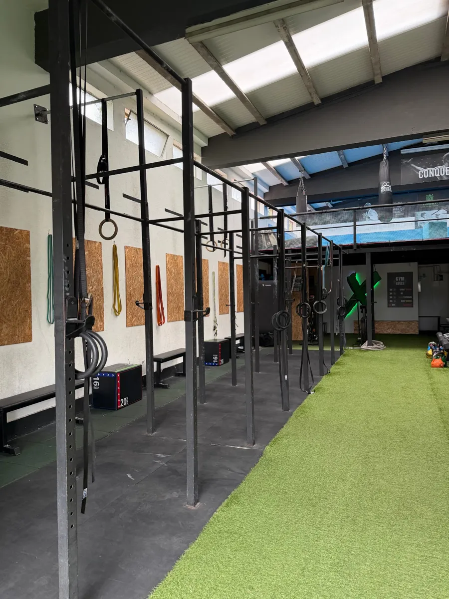 Rigs de calistenia e argolas